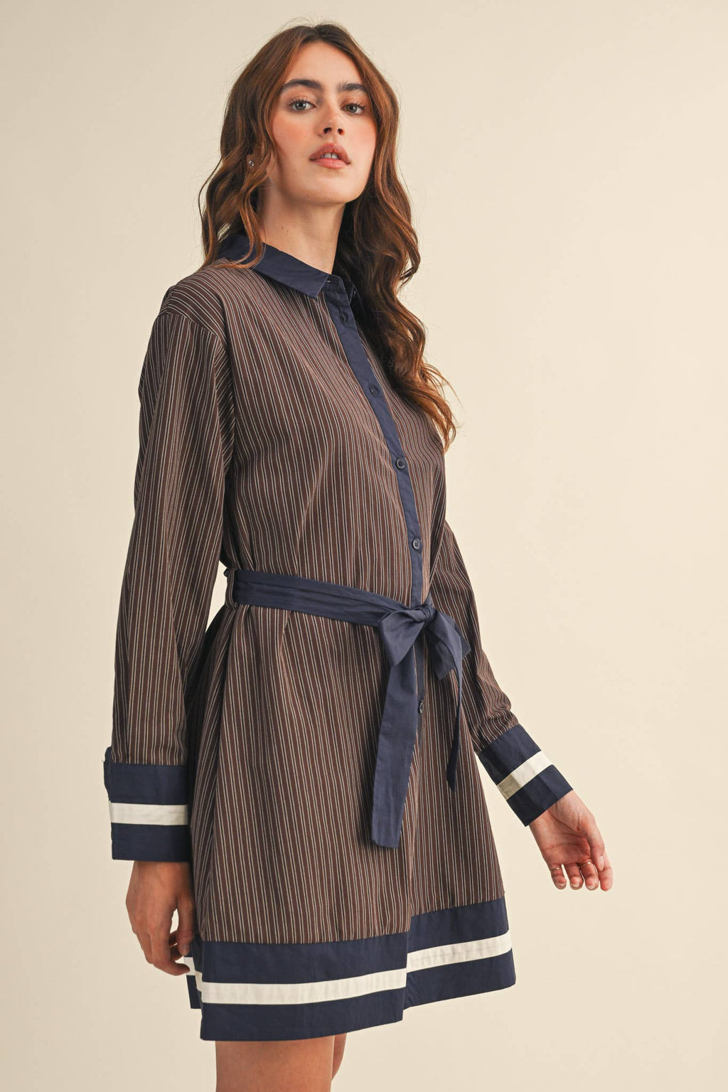 Brown & Navy Stripe Dress