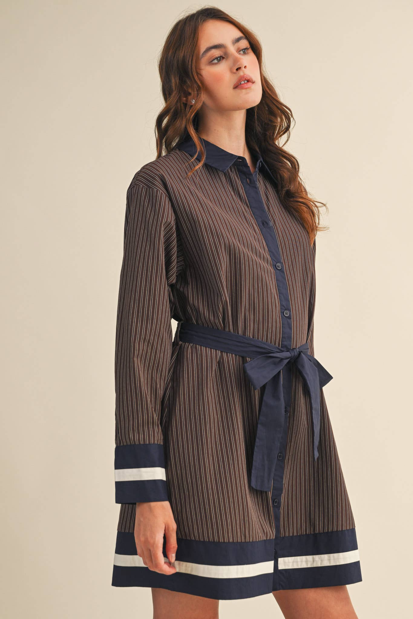 Brown & Navy Stripe Dress