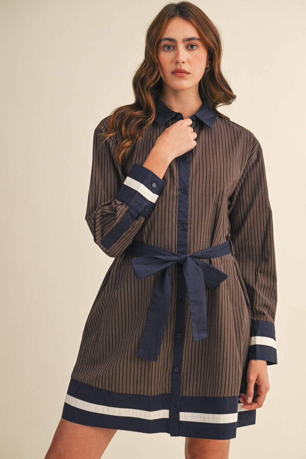 Brown & Navy Stripe Dress